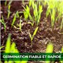 Gazon Regarnissage Rapide 10kg (400m2) - Fabriqué en Allemagne - Résistant & Autoréparation Naturelle - Pelouse Regarnissage - p