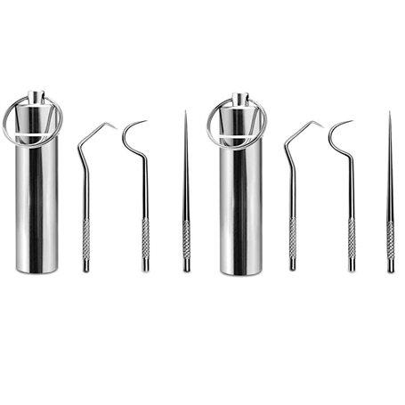 DCQQ Lot de 2 Cure Dent Metal kit Portable réutilisable porte-cure-dents en acier inoxydable Cure-Dents Nettoyage de Crochet de