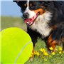 Balle de tennis amusante pour animal domestique