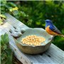 Bain pour Oiseaux Sauvages Bol d'alimentation pour Oiseaux Bassin d'oiseaux Rond en Fonte Balcon Terrasse Jardin Déco Maison de 