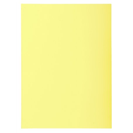 Exacompta - Réf. 850105E - Paquet de 100 sous-chemises SUPER 60 g/m2 aux couleurs pastel - sous chemises certifiées PEFC™ - dime