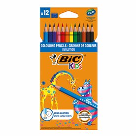 Crayons de couleur Bic Multicouleur 12 Pièces