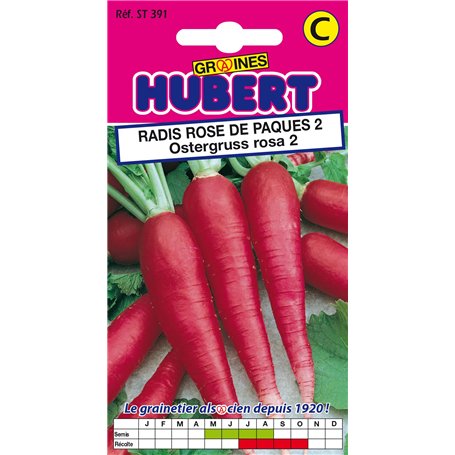 Graines de Radis Rose de Paques 2 Ostergruss Rosa 2-8 grammes
