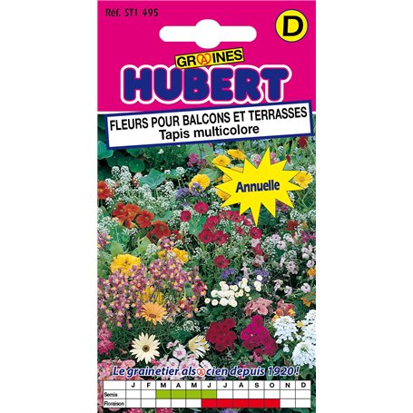 Graines de Fleurs Pour Balcons & Terrasses - Tapis Multicolore - 1