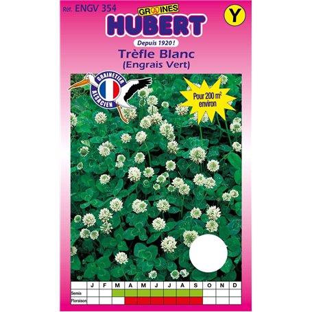Graines de Trèfle Blanc Pour 200 m² - 200 grammes