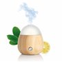 Puressentiel – Diffuseur d’huiles essentielles humidificateur ETNA - Diffusion par ultrasons – 2 effets de brume - Lumière d'amb