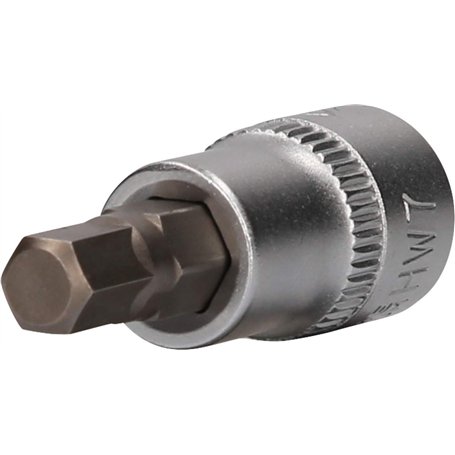 BRILLIANT TOOLS BT021874 Douille six pans creux 3/8"