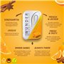 Wunder Zahnstocher Cure-dents aromatisés - Haleine fraîche avec cure-dents aromatisés - Lot de 2 (cannelle/orange)