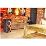 Ibiza - FREESOUND400 - Enceinte Portable sur Batterie avec Bluetooth, USB, SD et AUX-in avec LEDs d’Ambiance - 400W - Noir