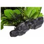 Amtra Wave Hygrophila Plante Réplique pour Aquariophilie 30 cm
