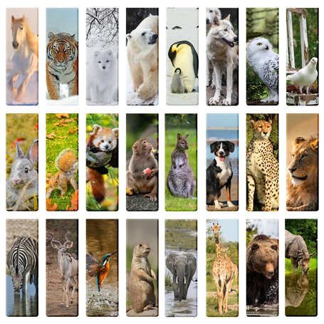 Lot de 24 marque-pages magnétiques