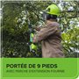 Greenworks Élagueuse sur perche sans fil 24 V 20 cm, longue portée de 2,68 m pour l'élagage des arbres, tronçonneuse électrique 