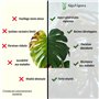 Alga Vigora - Équilibre Naturel - Engrais Naturel & Universel pour une Croissance Équilibrée et Saine - Formule à base d'Algues