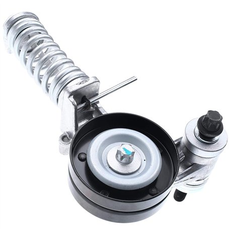 Frankberg Tendeur courroie trapézoïdale à nervures pour Aveo T300 Adam M13 A H00 Astra G T98 F48 F08 F69 T98 Astra H A04 L48 L35