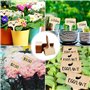 Lot de 50 étiquettes pour plantes de jardin, marqueurs de plantes en bambou, étiquette T type étiquettes de jardin réutilisables