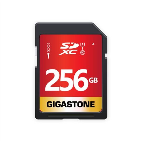 GIGASTONE Carte Mémoire SDXC 256 Go