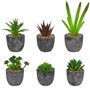 BELLE VOUS Mini Plante Artificielle Interieur Succulente en Pot Gris (6 Pièces) - Fausse Plante Cactus & Succulentes - pour Mais