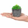 BELLE VOUS Mini Plante Artificielle Interieur Succulente en Pot Gris (6 Pièces) - Fausse Plante Cactus & Succulentes - pour Mais