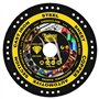 1 x SabreCut VBSC230ME 230 mm (9 ") x 22