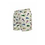 Maillot de bain homme Nike VOLLEY SHORT NESSF553 107 Vert