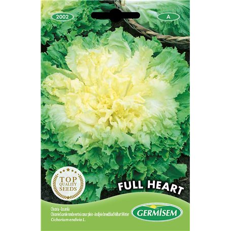 Germisem graines Chicorée Scarole ronde verte à cœur plein Full Heart EC2002 Multicolore