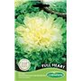 Germisem graines Chicorée Scarole ronde verte à cœur plein Full Heart EC2002 Multicolore