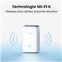 Hub indoor - REOLINK - Compatible Google Home - Blanc