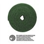 Éponge en fibre verte professionnelle. Rouleau de 14 cm x 6 m.