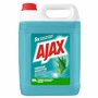 AJAX - Nettoyant ménager sol & multi surfaces - Parfum eucalyptus - le bidon de 5L