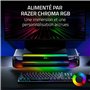 Razer Monitor Stand Chroma - Support de Moniteur en Aluminium avec hub USB-C à 4 Voies avec Chroma RGB (50cm x 21cm x 7.85cm, Co