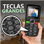 Funker C120 Classic - Téléphone Portable pour Personnes âgées avec Bouton SOS - Grandes Touches et Volume élevé - USB-C - Batter