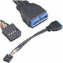 Akasa - Cable Adaptateur USB 3.0 vers USB 2.0 Interne - 10 cm - AK-CBUB19-10BK - Noir