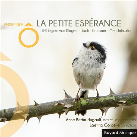 La petite Espérance