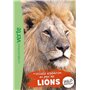 Wild Immersion 21 - Nouvelle expédition au pays des lions