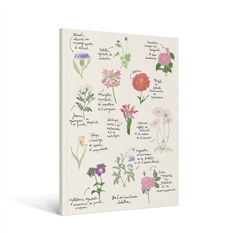 Carnet Fleurs A4 - Zoé de Las Cases