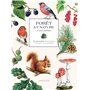 Forêt et nature à colorier 15,61 €