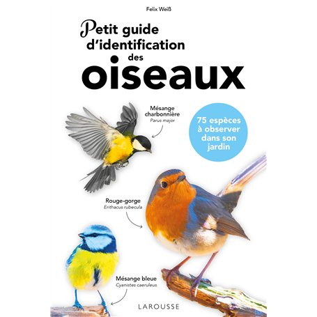 Petit guide d'identification des oiseaux