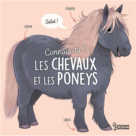 Connais-tu ? Les chevaux et les poneys
