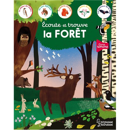Ecoute et trouve - La forêt