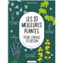 Les 10 meilleures plantes pour chaque situation