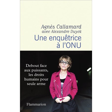 Une enquêtrice à l'ONU