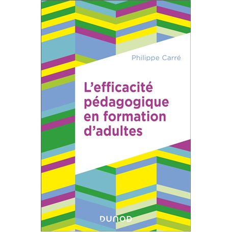 L'efficacité pédagogique en formation d'adultes