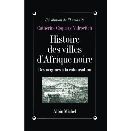Histoire des villes d'Afrique Noire 26,42 €