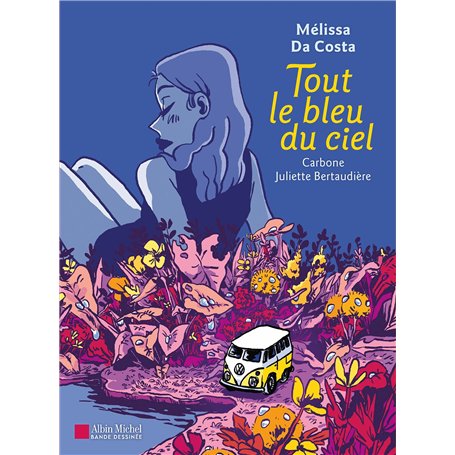 Tout le bleu du ciel (BD)