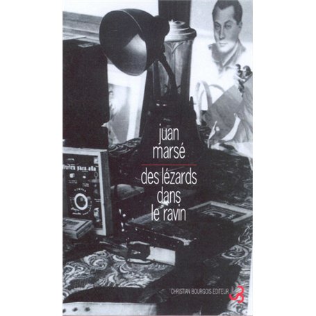 Des lézards dans le ravin 22,38 €