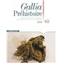 Gallia Préhistoire - Tome 63 Préhistoire de la France dans son contexte européen