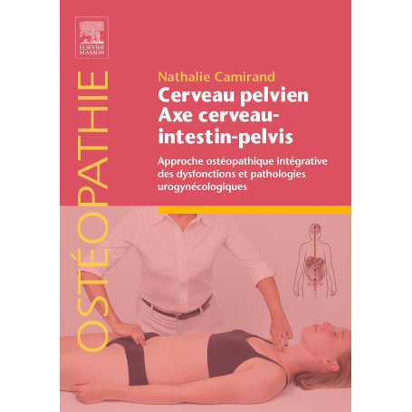 Cerveau pelvien - axe cerveau-intestin-pelvis