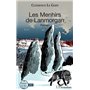 Les Menhirs de Lanmorgan