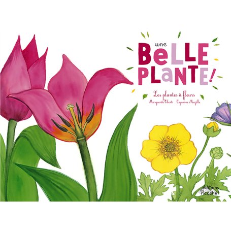 Une belle plante