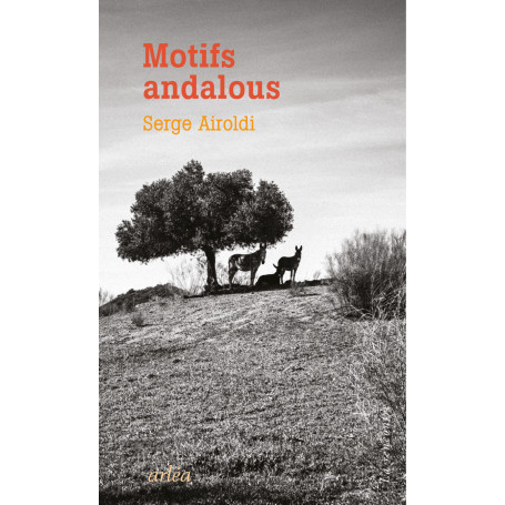 Motifs andalous